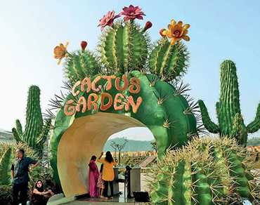 coctus-garden